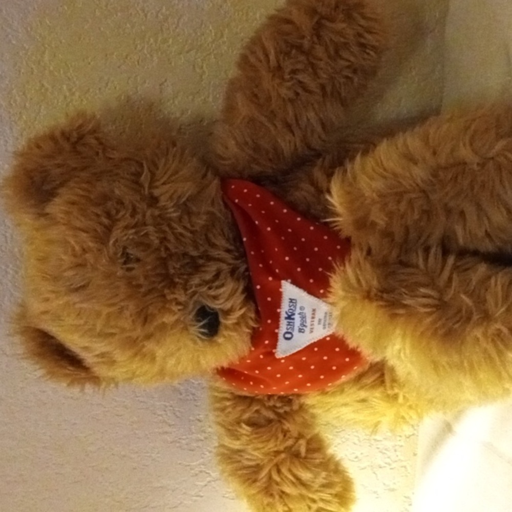 Vintage 1990s OshKosh Plush Teddy Bear